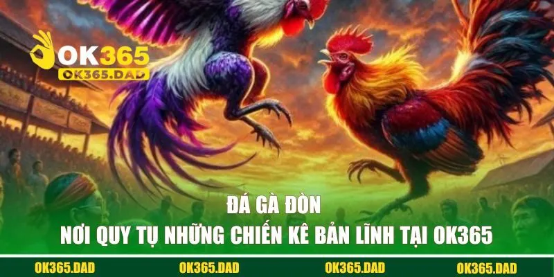 Đá gà đòn